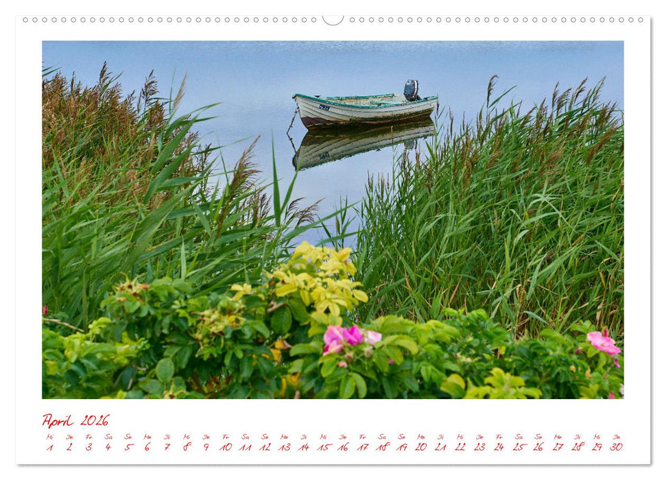 Aarö - Perle im kleinen Belt (CALVENDO Wandkalender 2026)