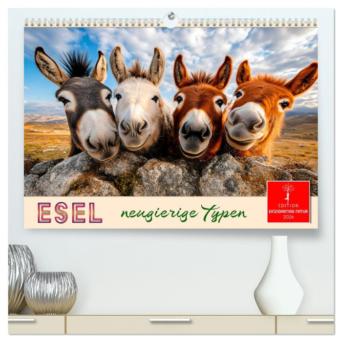 Esel - neugierige Typen (CALVENDO Premium Wandkalender 2026)