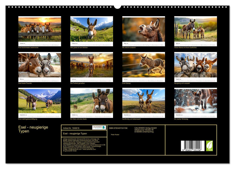 Esel - neugierige Typen (CALVENDO Premium Wandkalender 2026)