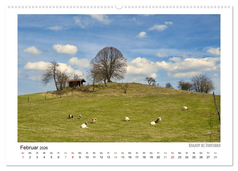 Zauberhaftes Witzenhausen (CALVENDO Premium Wandkalender 2026)