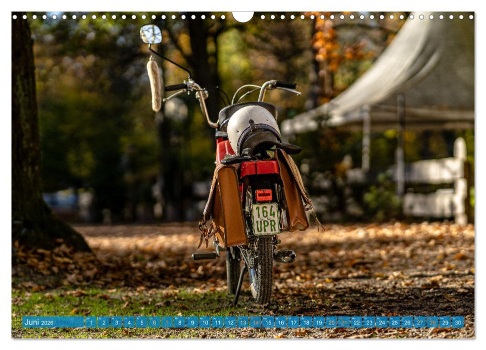 Das Mofa meiner Jugend (CALVENDO Wandkalender 2026)