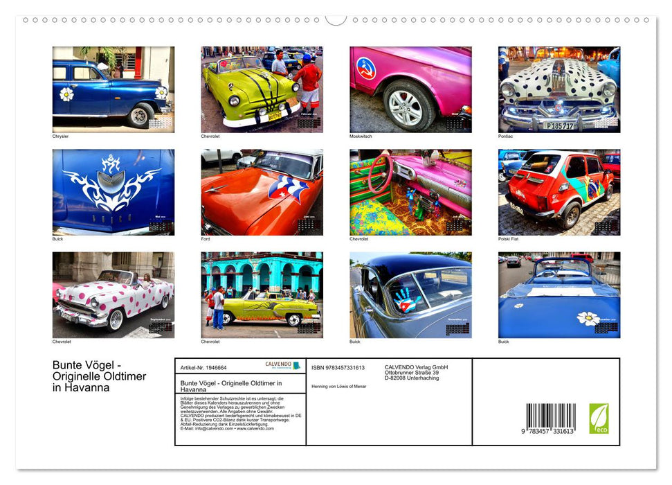 Bunte Vögel - Originelle Oldtimer in Havanna (CALVENDO Premium Wandkalender 2026)