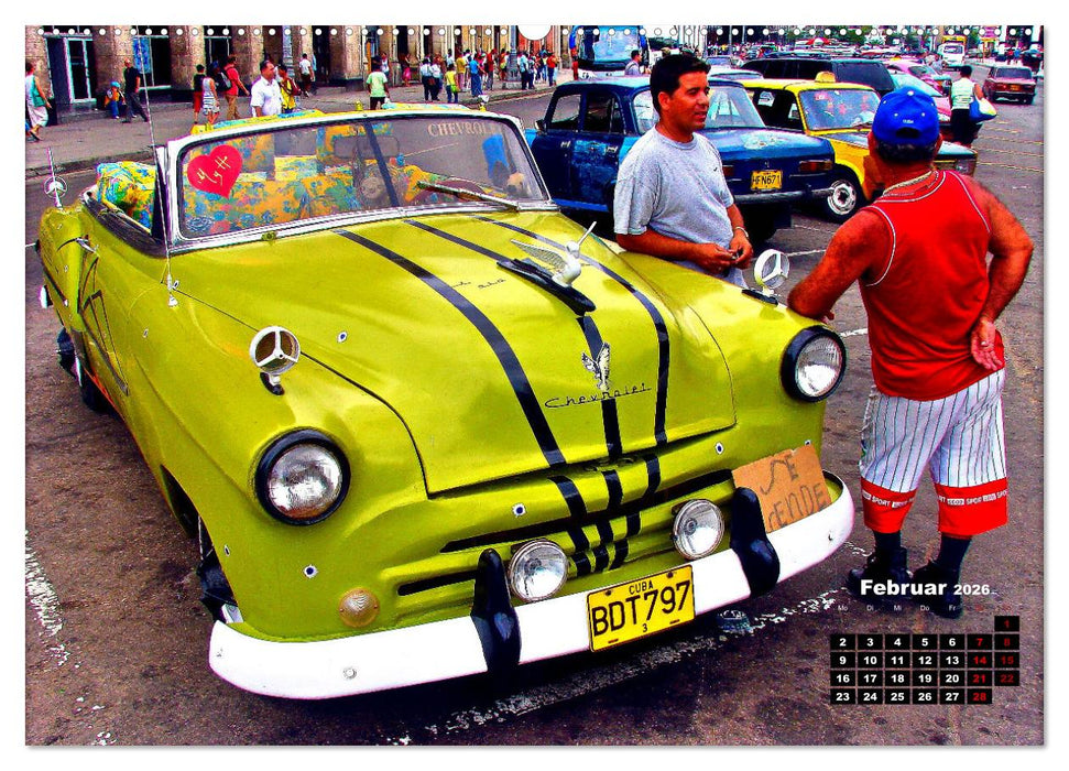 Bunte Vögel - Originelle Oldtimer in Havanna (CALVENDO Premium Wandkalender 2026)