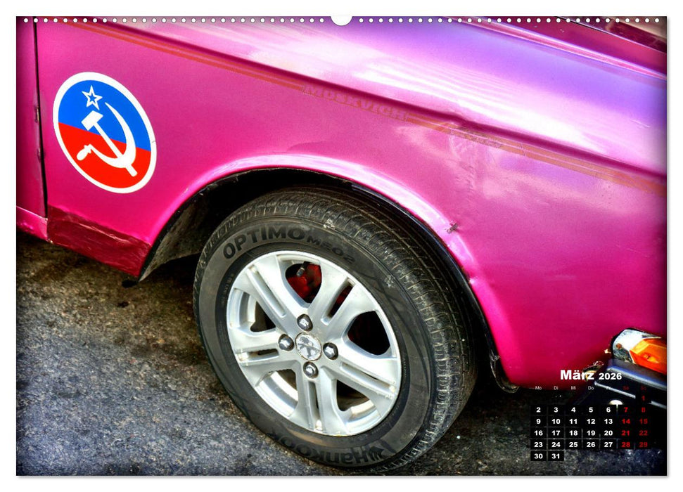 Bunte Vögel - Originelle Oldtimer in Havanna (CALVENDO Premium Wandkalender 2026)