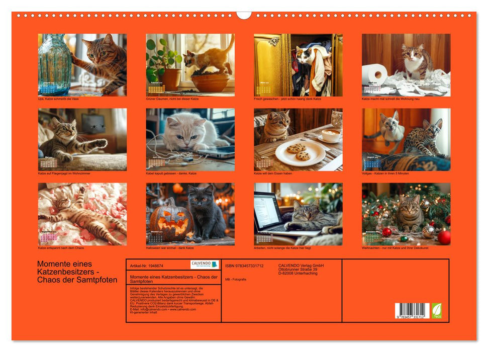 Momente eines Katzenbesitzers - Chaos der Samtpfoten (CALVENDO Wandkalender 2026)