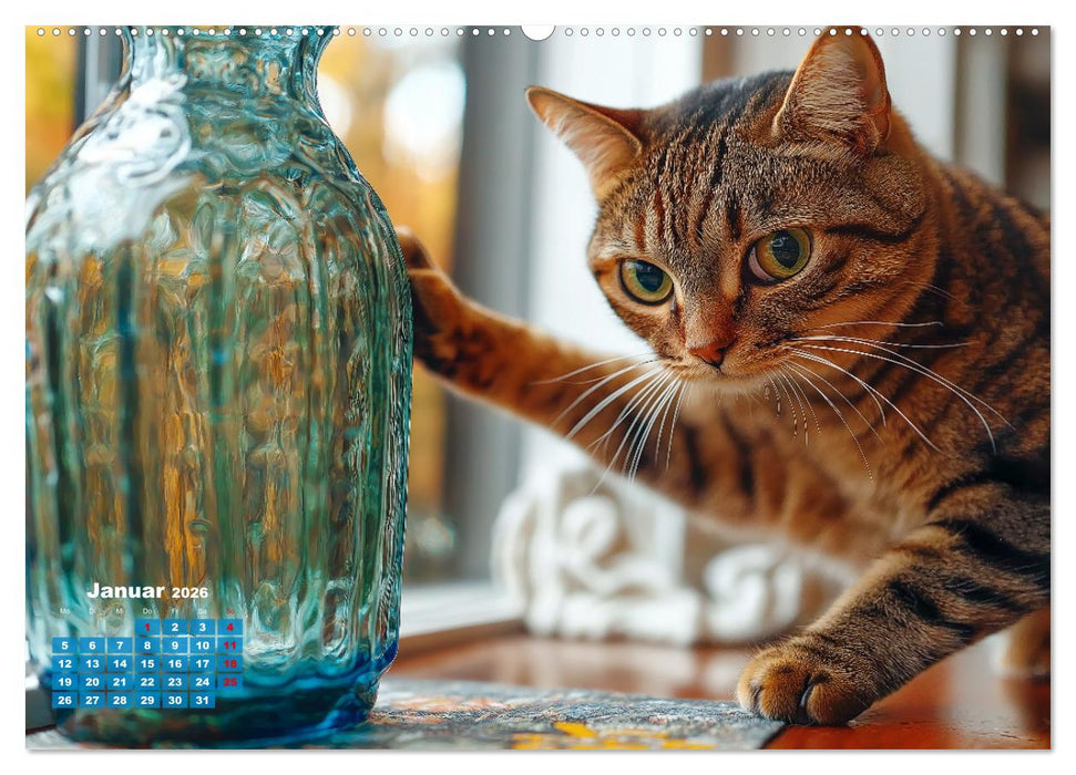 Momente eines Katzenbesitzers - Chaos der Samtpfoten (CALVENDO Wandkalender 2026)