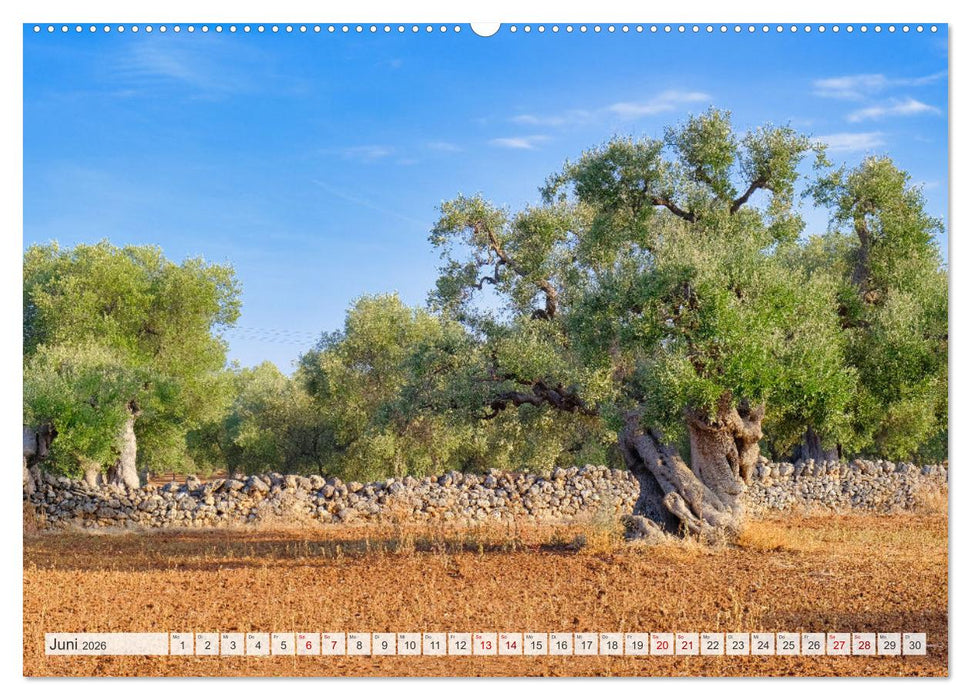 Faszinierendes Apulien (CALVENDO Premium Wandkalender 2026)