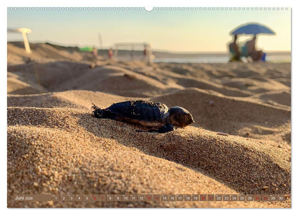 Zypern - Europäische Perle zwischen Asien und Afrika (CALVENDO Premium Wandkalender 2026)