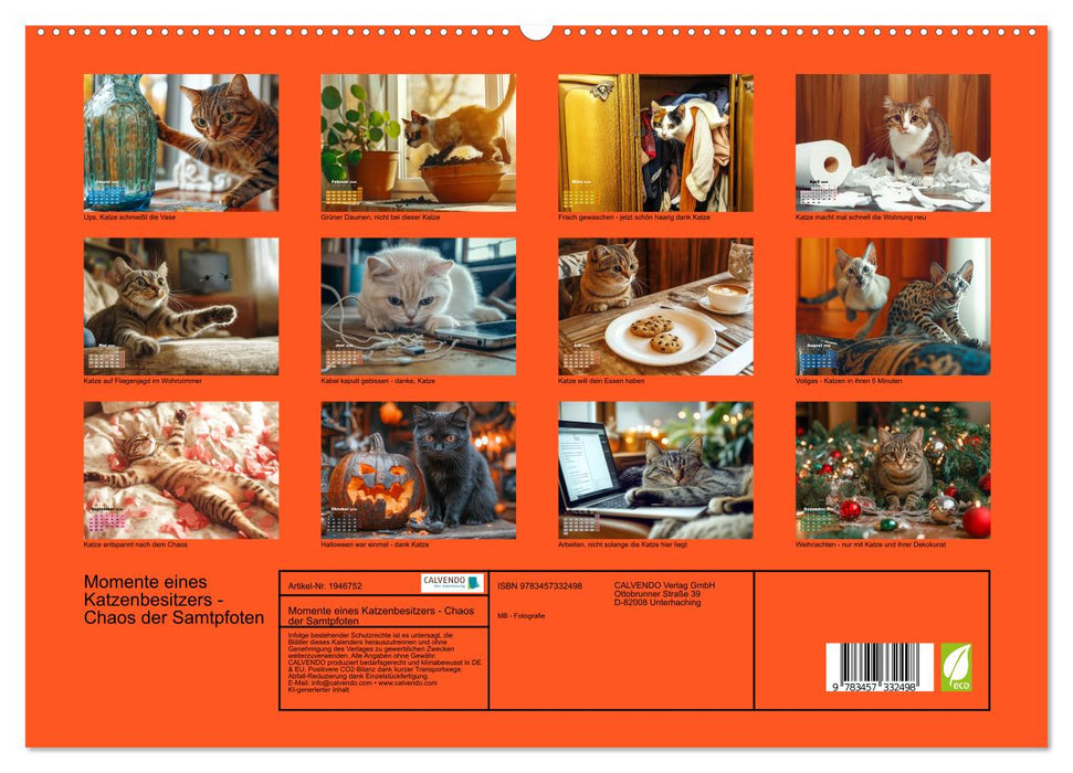 Momente eines Katzenbesitzers - Chaos der Samtpfoten (CALVENDO Premium Wandkalender 2026)