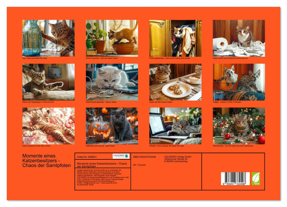 Momente eines Katzenbesitzers - Chaos der Samtpfoten (CALVENDO Premium Wandkalender 2026)