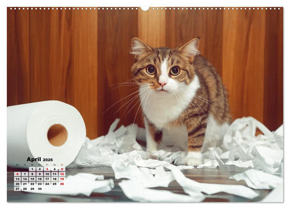 Momente eines Katzenbesitzers - Chaos der Samtpfoten (CALVENDO Premium Wandkalender 2026)