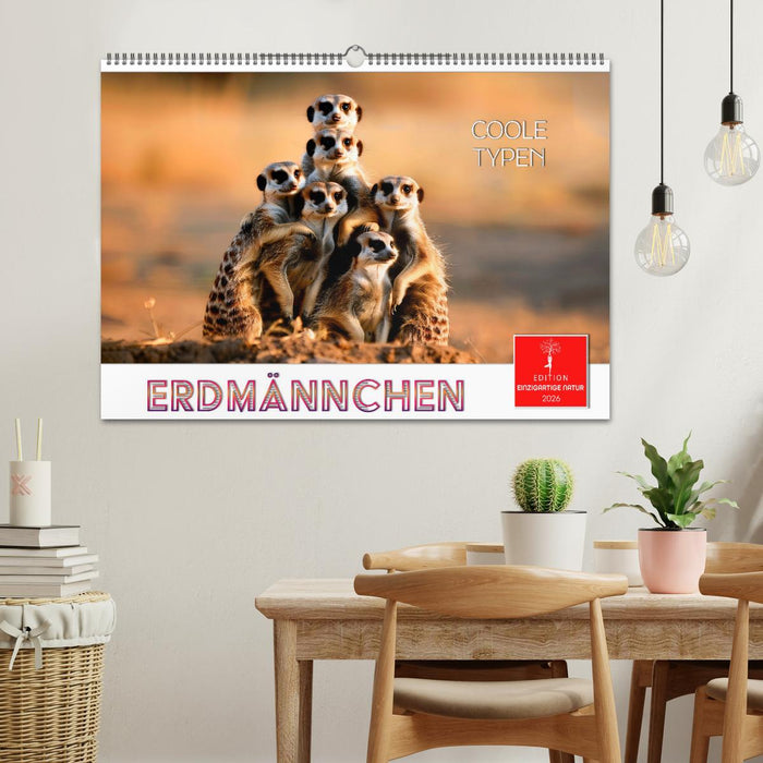Erdmännchen - coole Typen (CALVENDO Wandkalender 2026)