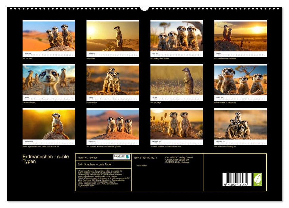 Erdmännchen - coole Typen (CALVENDO Premium Wandkalender 2026)
