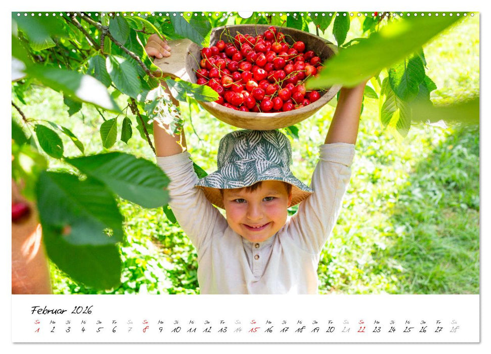 Kirschen aus dem Garten – Erntekalender (CALVENDO Premium Wandkalender 2026)