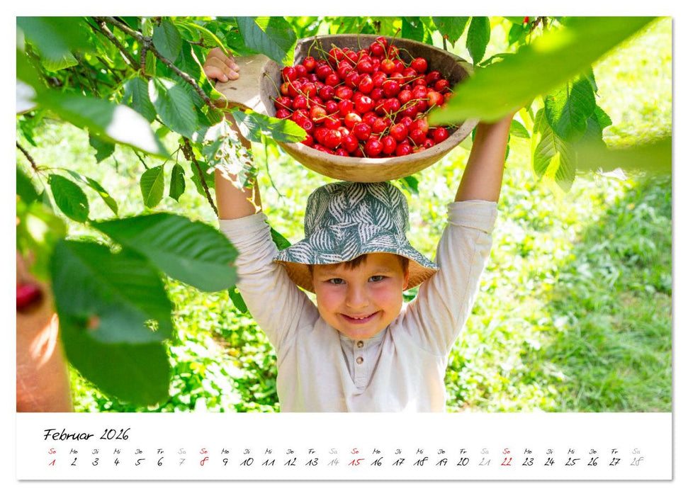 Kirschen aus dem Garten – Erntekalender (CALVENDO Premium Wandkalender 2026)