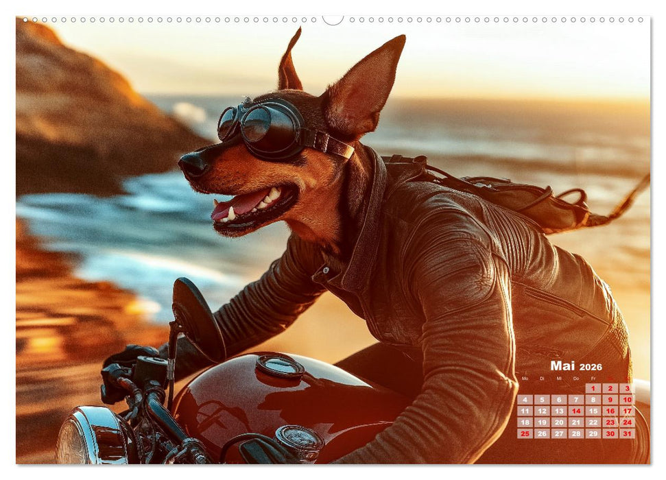 Süße Hunde cruisen - durch das Jahr mit dem Hundekalender (CALVENDO Wandkalender 2026)