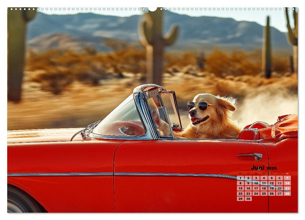 Süße Hunde cruisen - durch das Jahr mit dem Hundekalender (CALVENDO Wandkalender 2026)