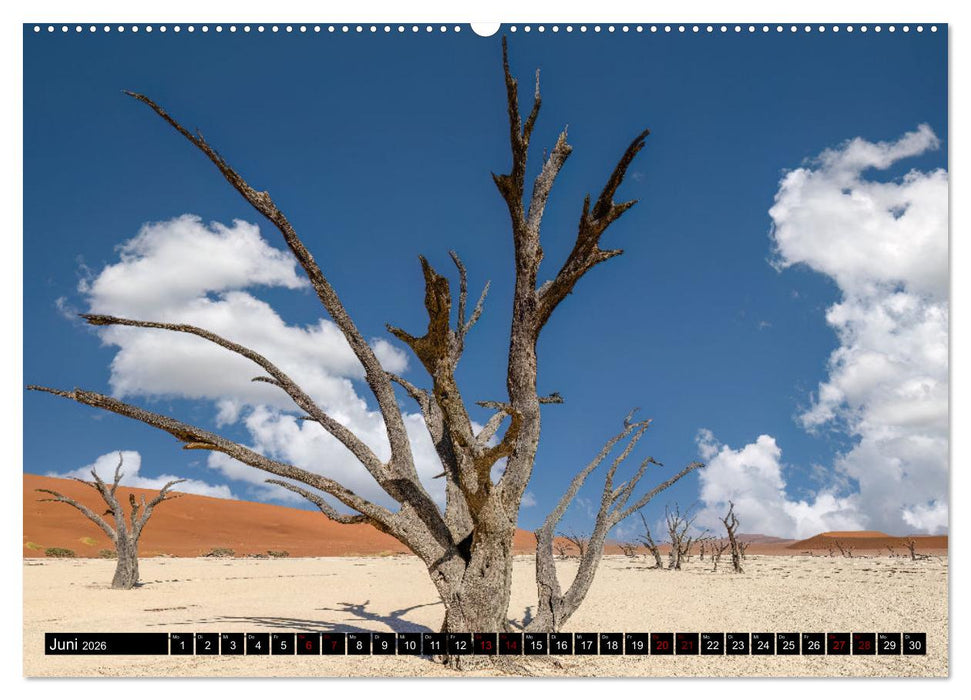 Namibia - Land der Kontraste (CALVENDO Premium Wandkalender 2026)