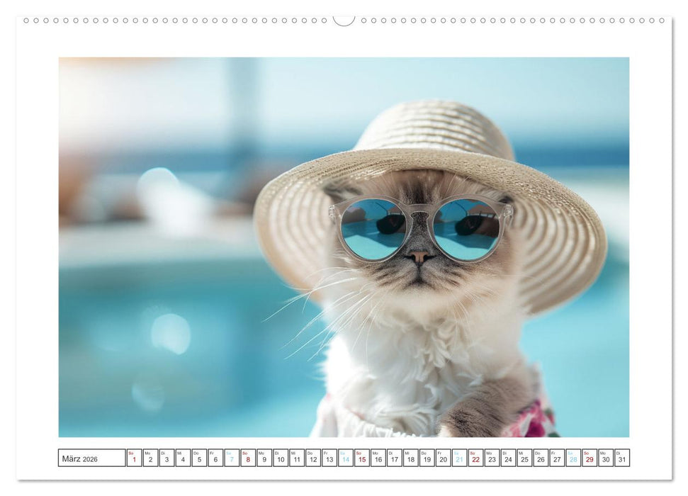 Heißer Sommer (CALVENDO Premium Wandkalender 2026)