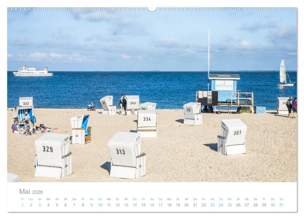Sylt süchtig (CALVENDO Wandkalender 2026)