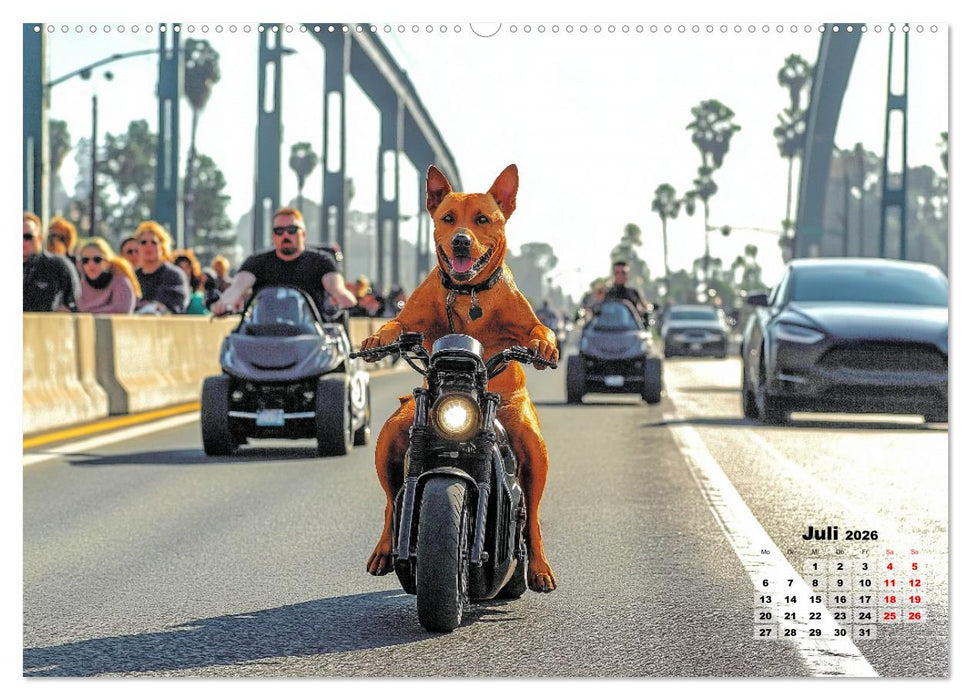 Süße Hunde cruisen - durch das Jahr mit dem Hundekalender (CALVENDO Premium Wandkalender 2026)