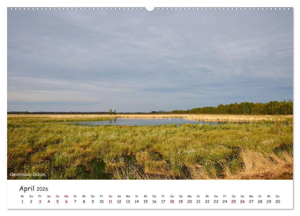Emsland Impressionen (CALVENDO Premium Wandkalender 2026)