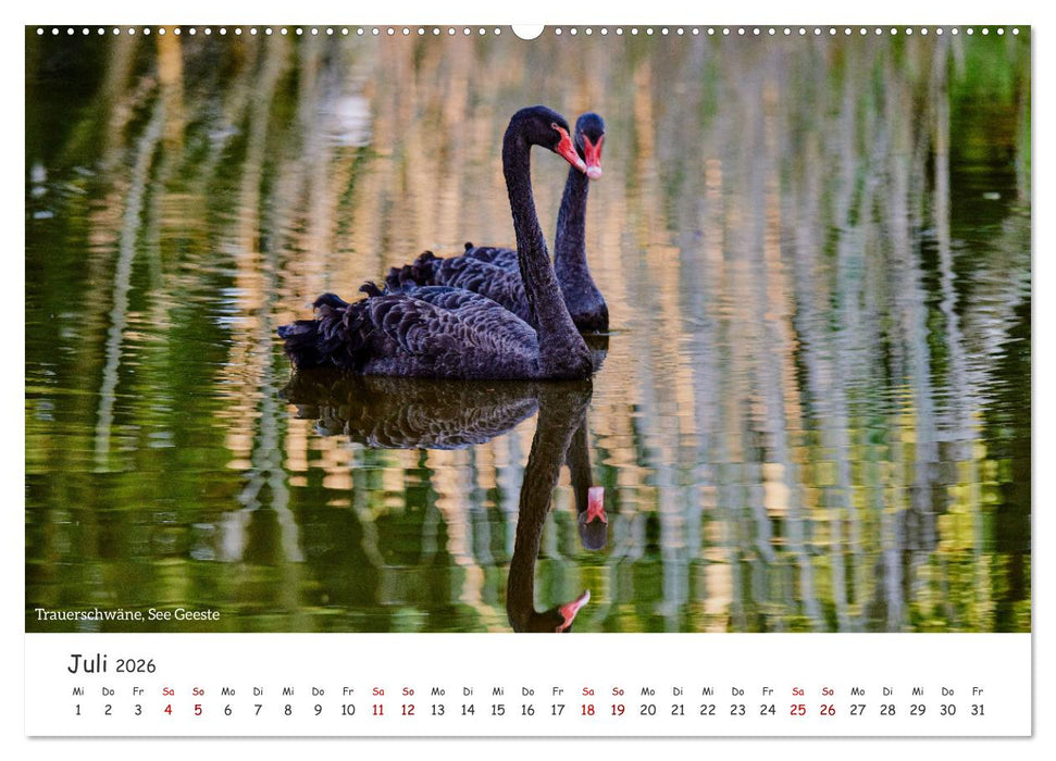 Emsland Impressionen (CALVENDO Premium Wandkalender 2026)