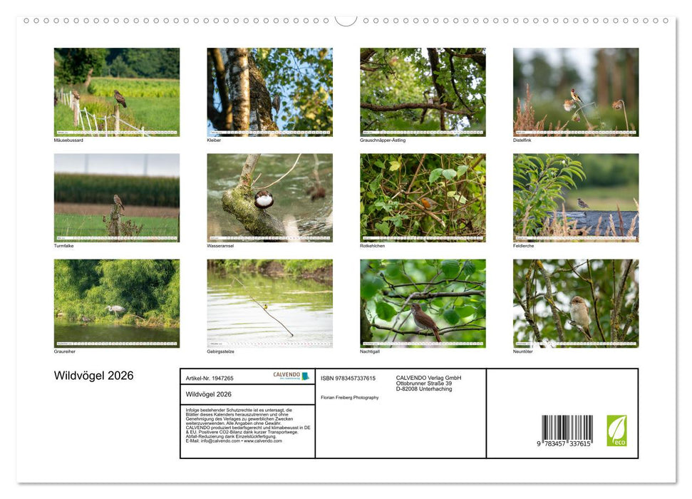 Wildvögel 2026 (CALVENDO Premium Wandkalender 2026)