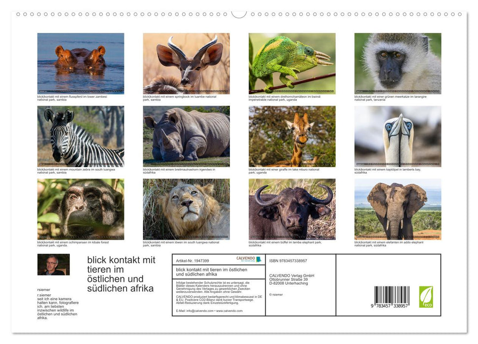 blick kontakt mit tieren im östlichen und südlichen afrika (CALVENDO Premium Wandkalender 2026)