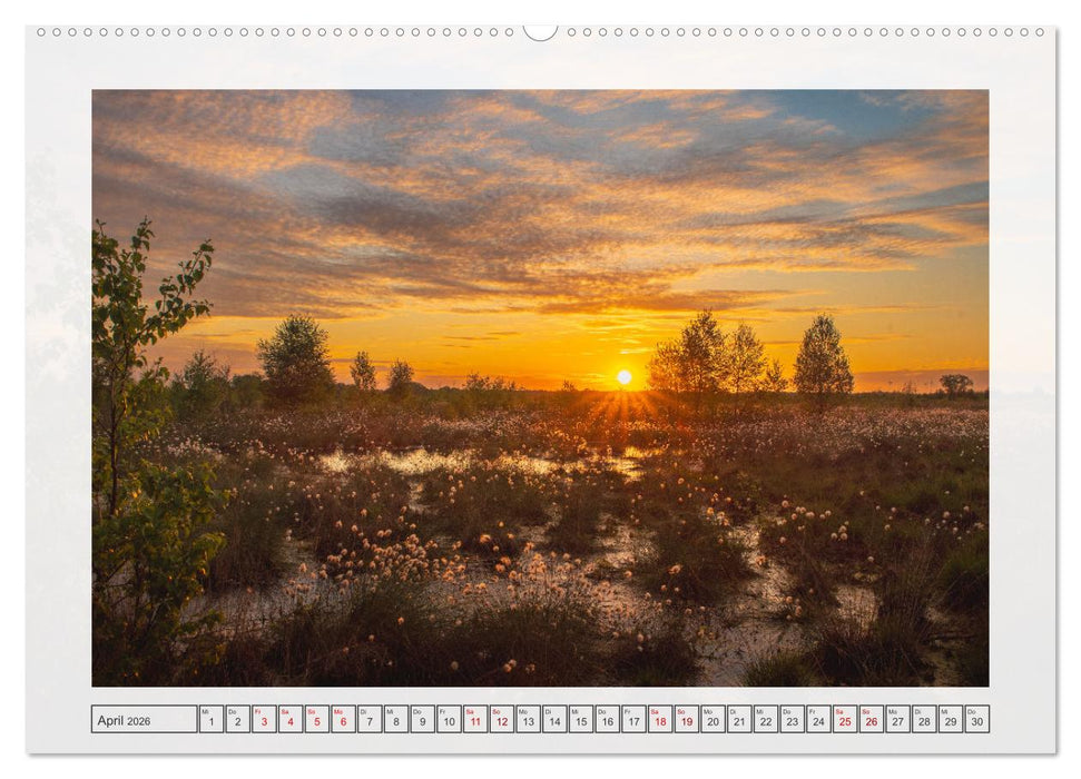 Naturpark Dümmer (CALVENDO Wandkalender 2026)