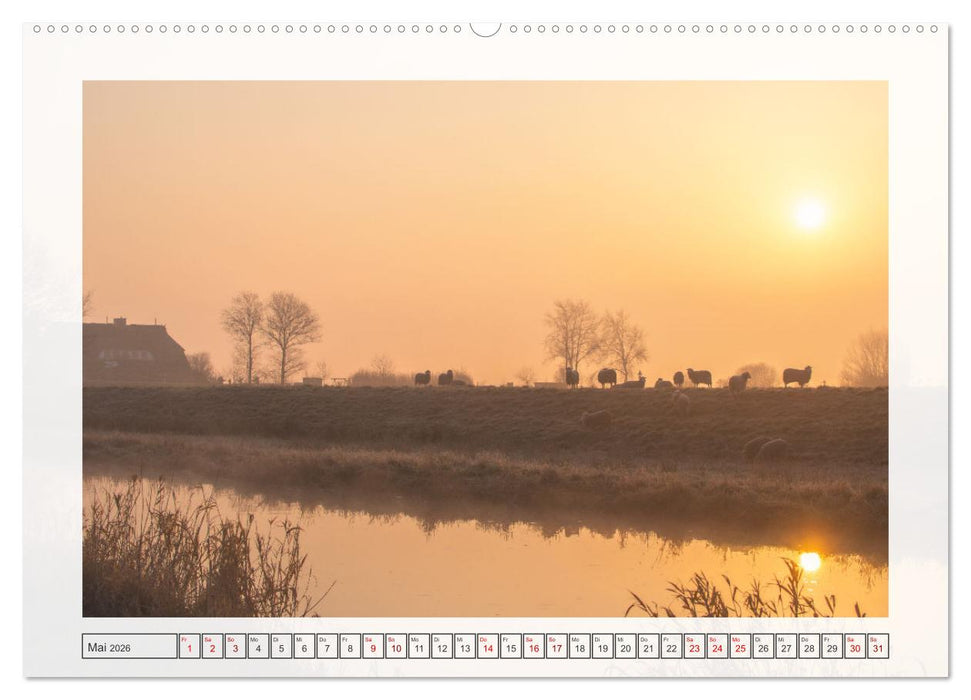 Naturpark Dümmer (CALVENDO Wandkalender 2026)