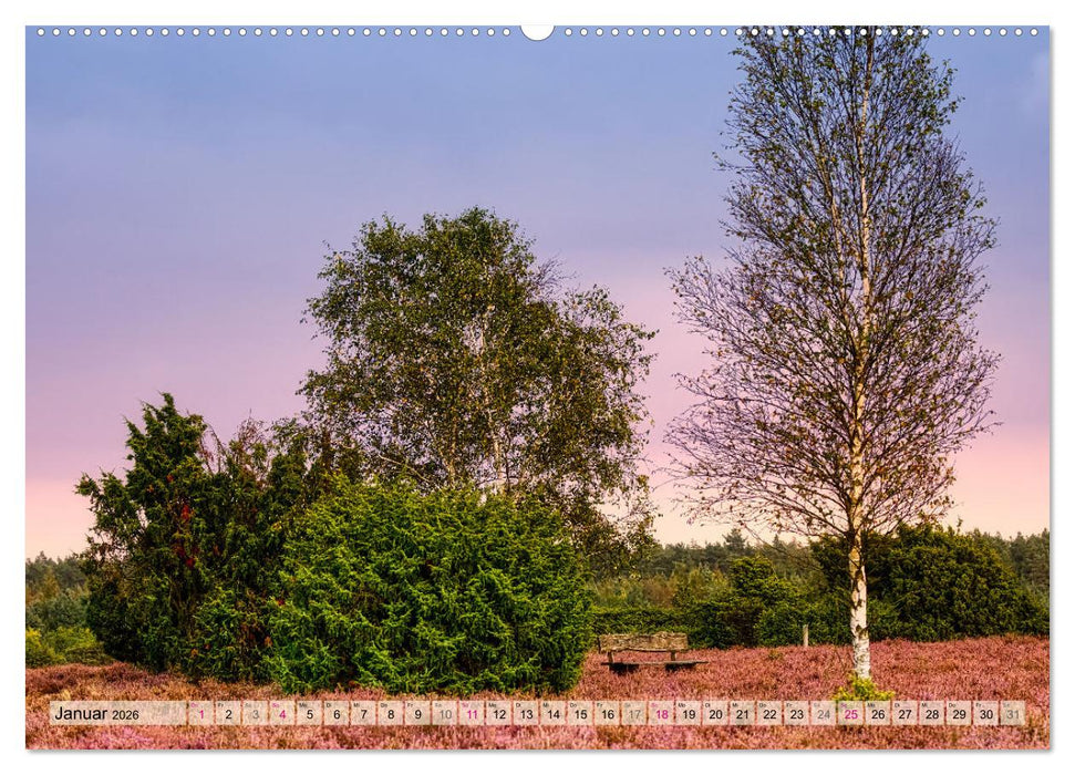 Lüneburger Südheide (CALVENDO Wandkalender 2026)