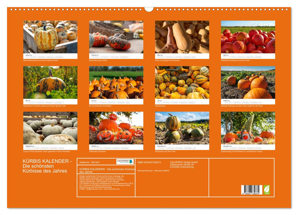 KÜRBIS KALENDER - Die schönsten Kürbisse des Jahres (CALVENDO Wandkalender 2026)
