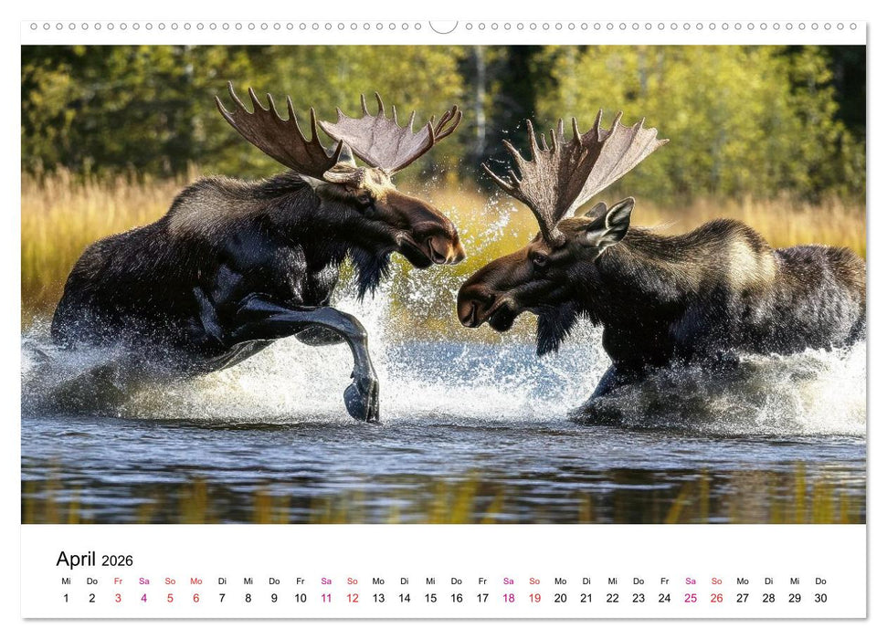 Elche - die Stimme der Wildnis (CALVENDO Wandkalender 2026)