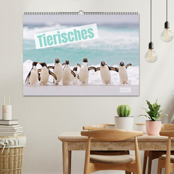Tierisches von den Falklandinseln (CALVENDO Wandkalender 2026)