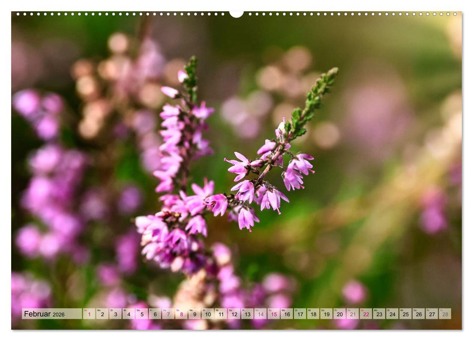 Lüneburger Südheide (CALVENDO Premium Wandkalender 2026)