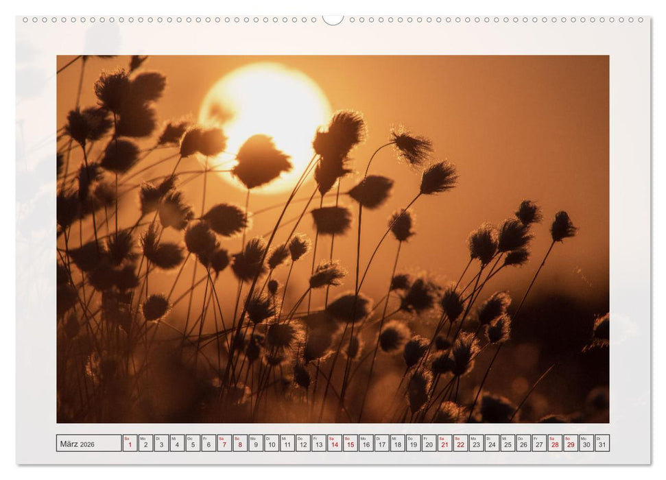 Naturpark Dümmer (CALVENDO Premium Wandkalender 2026)