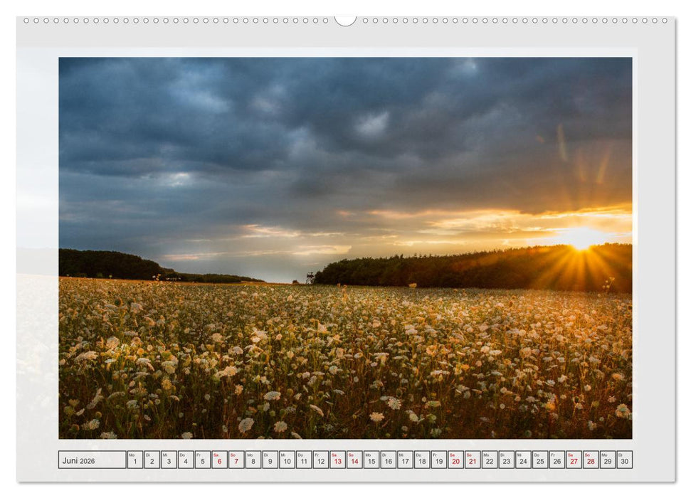 Naturpark Dümmer (CALVENDO Premium Wandkalender 2026)