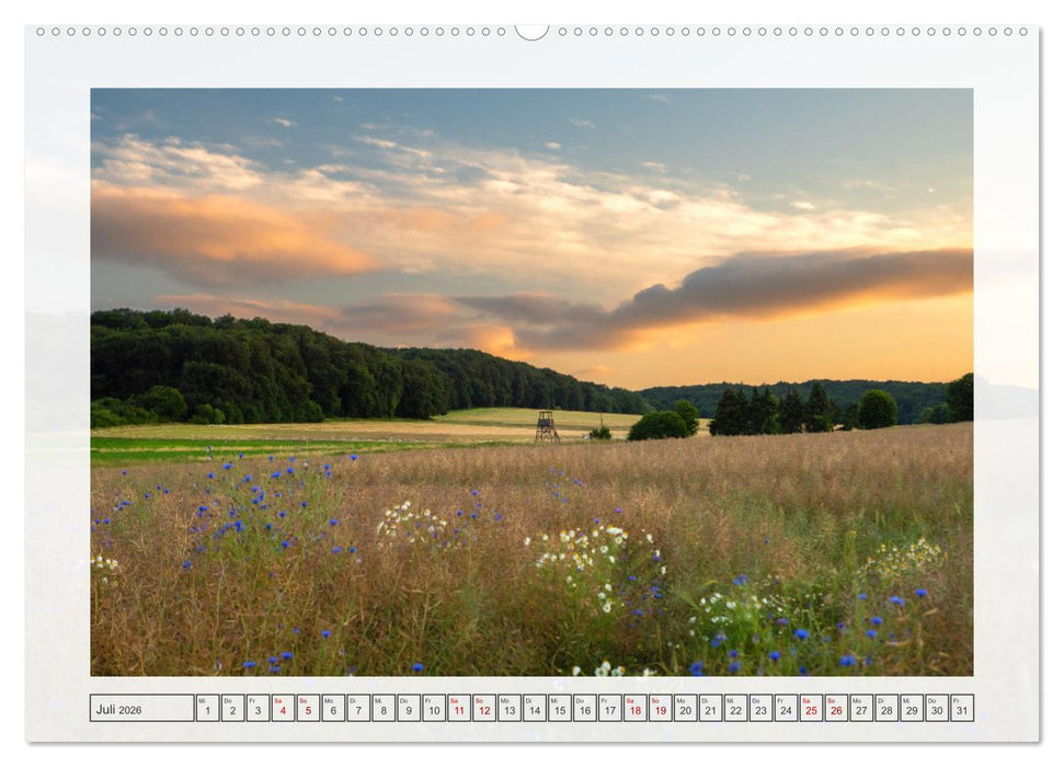 Naturpark Dümmer (CALVENDO Premium Wandkalender 2026)