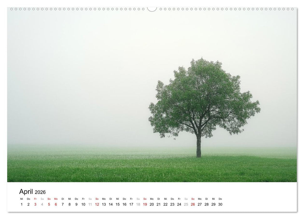 Minimalistische Naturmomente – Ruhe und Schönheit in der Natur (CALVENDO Wandkalender 2026)