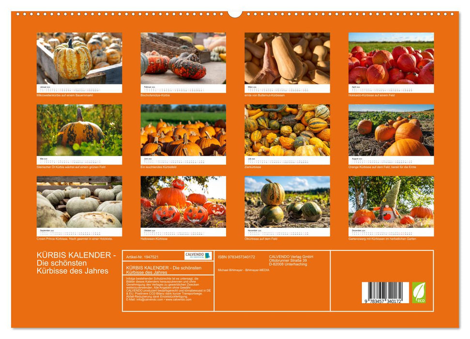 KÜRBIS KALENDER - Die schönsten Kürbisse des Jahres (CALVENDO Premium Wandkalender 2026)