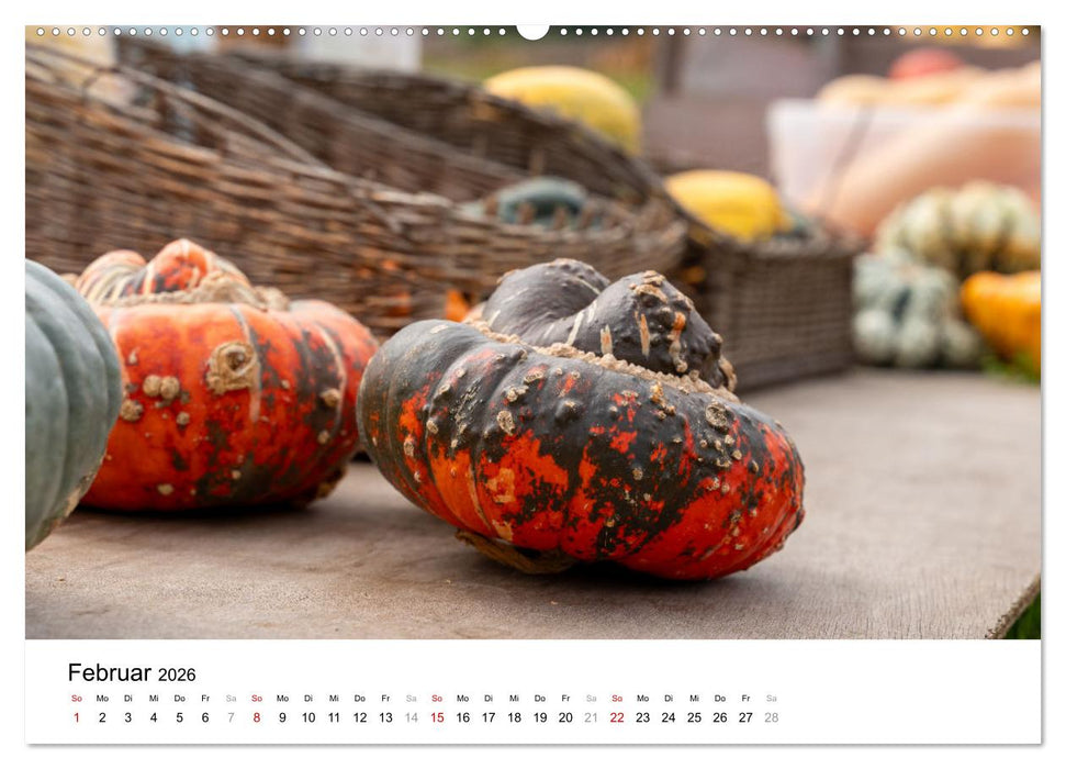 KÜRBIS KALENDER - Die schönsten Kürbisse des Jahres (CALVENDO Premium Wandkalender 2026)