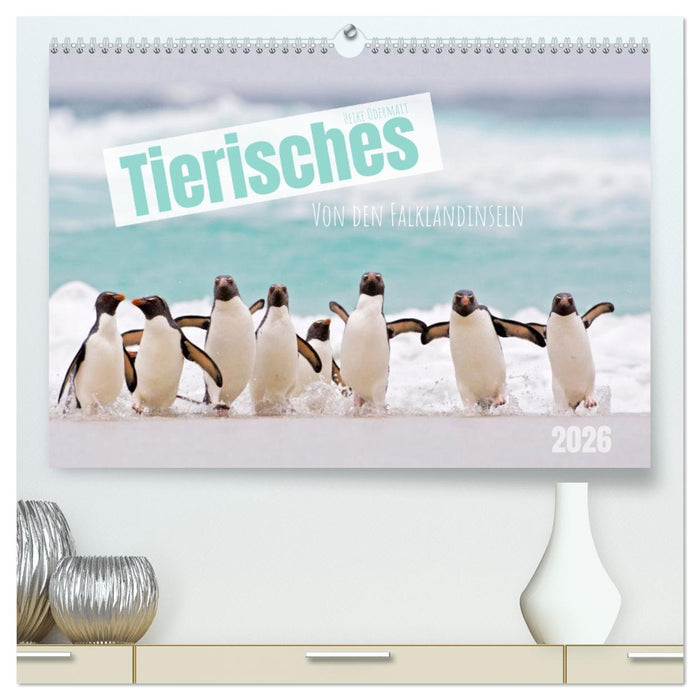 Tierisches von den Falklandinseln (CALVENDO Premium Wandkalender 2026)