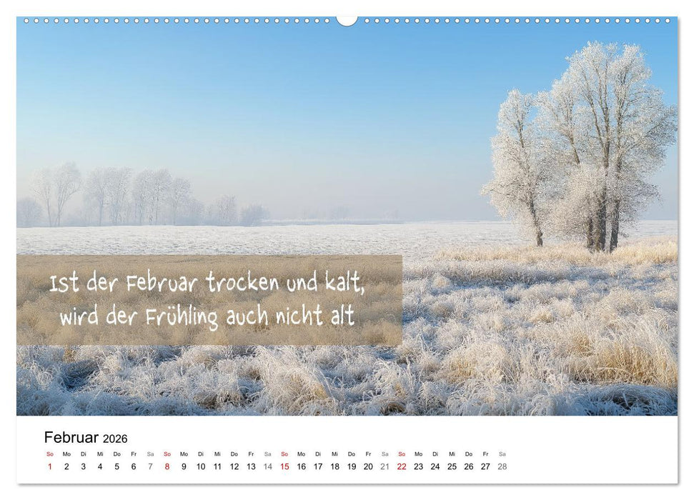 Bauernregeln Kalender - Rhythmus der Jahreszeiten (CALVENDO Wandkalender 2026)