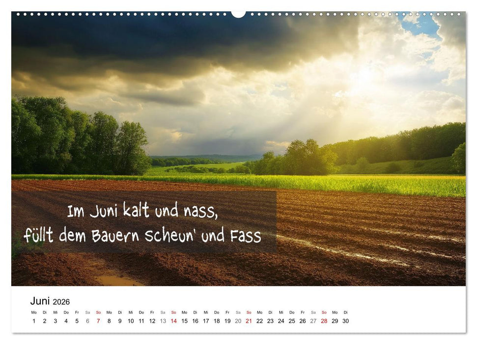 Bauernregeln Kalender - Rhythmus der Jahreszeiten (CALVENDO Wandkalender 2026)
