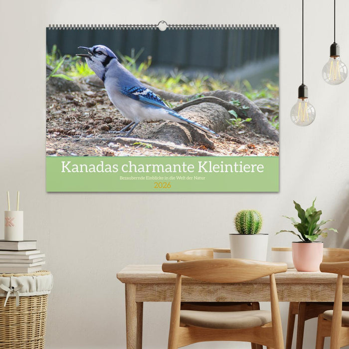Kanadas charmante Kleintiere - Bezaubernde Einblicke in die Natur (CALVENDO Wandkalender 2026)