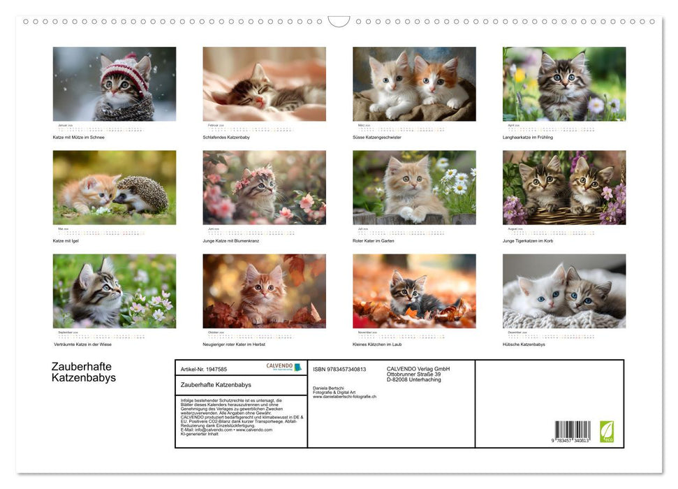 Zauberhafte Katzenbabys (CALVENDO Wandkalender 2026)