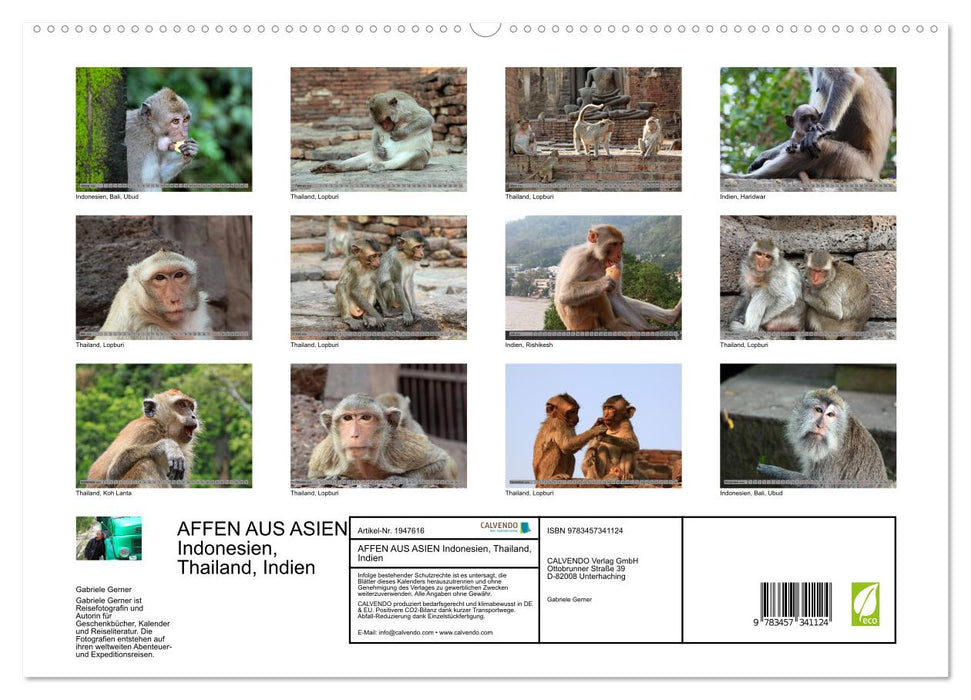 AFFEN AUS ASIEN Indonesien, Thailand, Indien (CALVENDO Premium Wandkalender 2026)