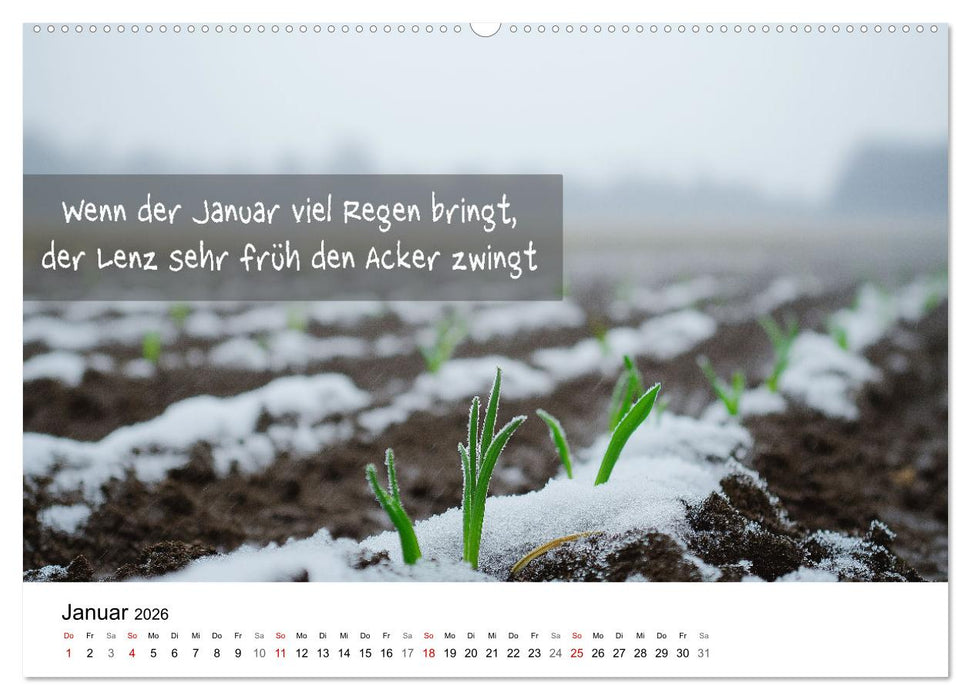 Bauernregeln Kalender - Rhythmus der Jahreszeiten (CALVENDO Premium Wandkalender 2026)