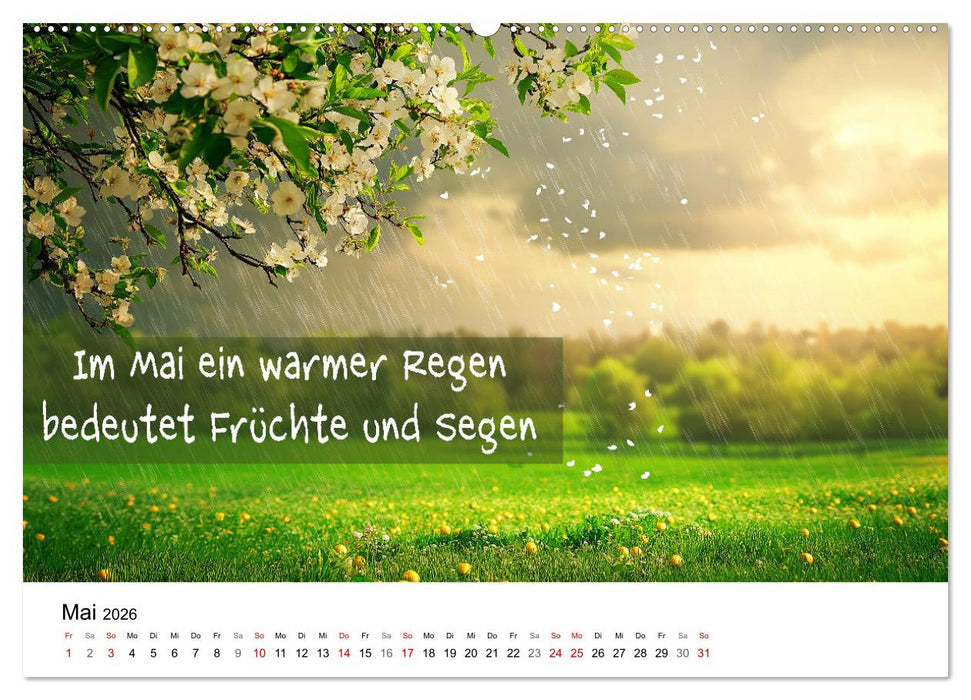 Bauernregeln Kalender - Rhythmus der Jahreszeiten (CALVENDO Premium Wandkalender 2026)